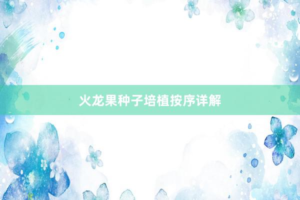 火龙果种子培植按序详解