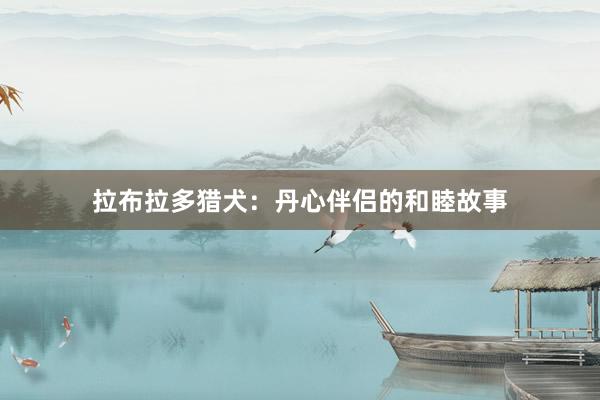 拉布拉多猎犬：丹心伴侣的和睦故事