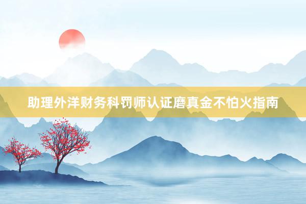 助理外洋财务科罚师认证磨真金不怕火指南